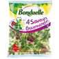 4 SAVEURS GOURMANDES BONDUELLE F 6X160G